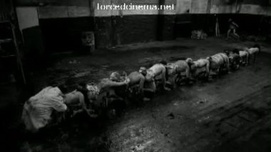 Rape scene from The Human Centipede 2