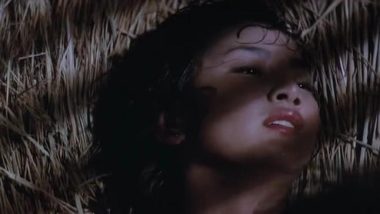 Jeong Yun-hui rape, Village in the Mist